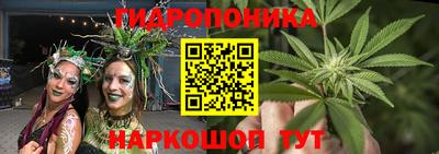 соль ск Можга