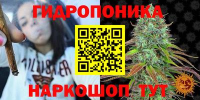 соль ск Можга