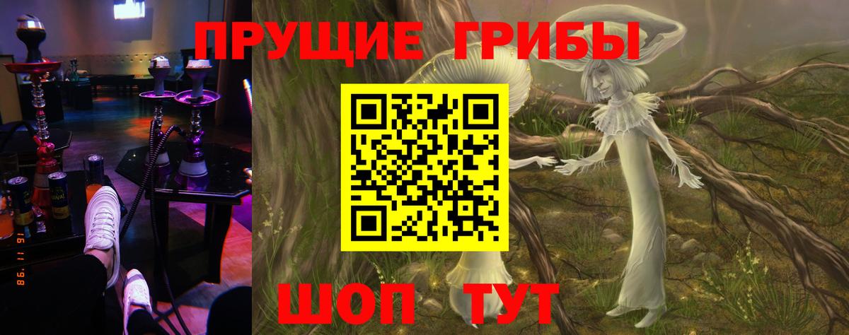 Псилоцибиновые грибы ЛСД  Вход с VPN  Юрга 