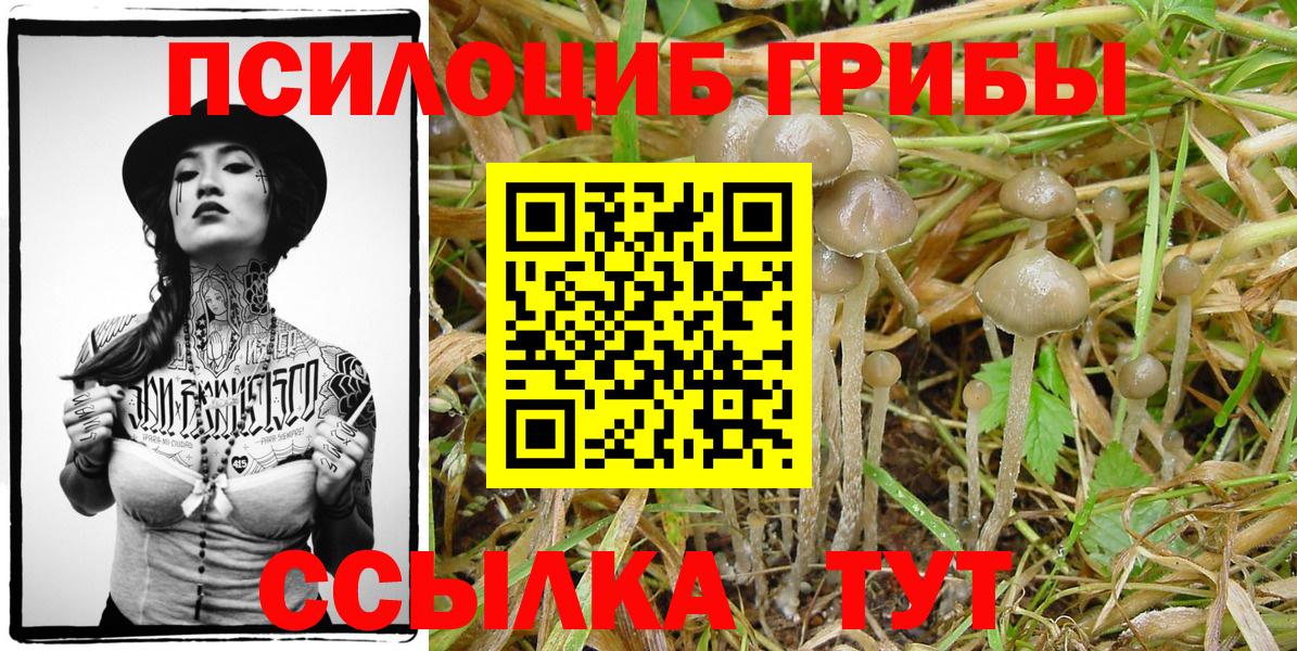 Галлюциногенные грибы мухоморы Юрга